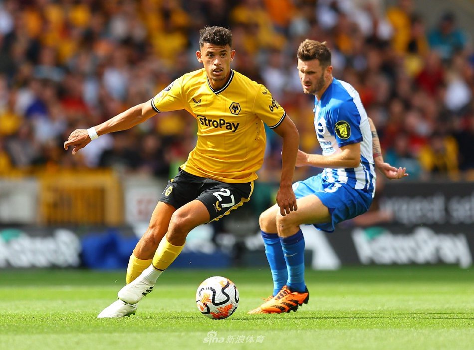 味着不仅是 味着不仅是